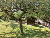 Terrain à vendre à Courchevel, Savoie - 320.000 € - photo 5