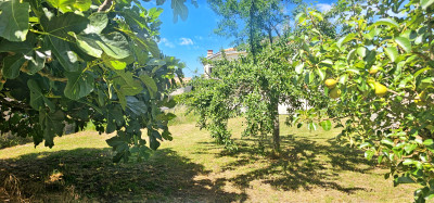 French property for sale in Maillezais, Vendée - €185,000 - photo 9