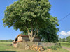 French property for sale in Chabrac, Charente - €42,500 - thumbnail 6