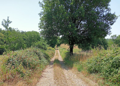 French property for sale in Argentat-sur-Dordogne, Corrèze - €574,000 - photo 1
