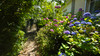 French property for sale in Domfront en Poiraie, Orne - €109,890 - thumbnail 14
