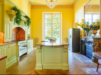 French property for sale in Nexon, Haute-Vienne - €1,325,000 - photo 4