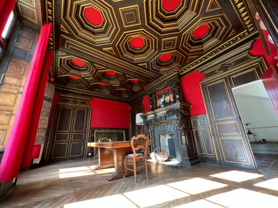 A rare opportunity to acquire a stunning historic chateau with excellent business potential. 