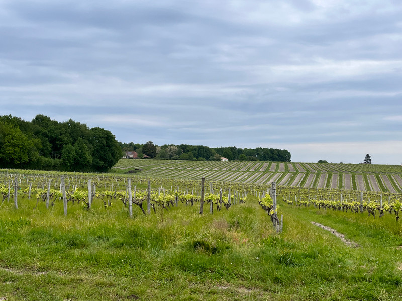 French property for sale in Mortiers, Charente-Maritime - €117,000 - photo 3