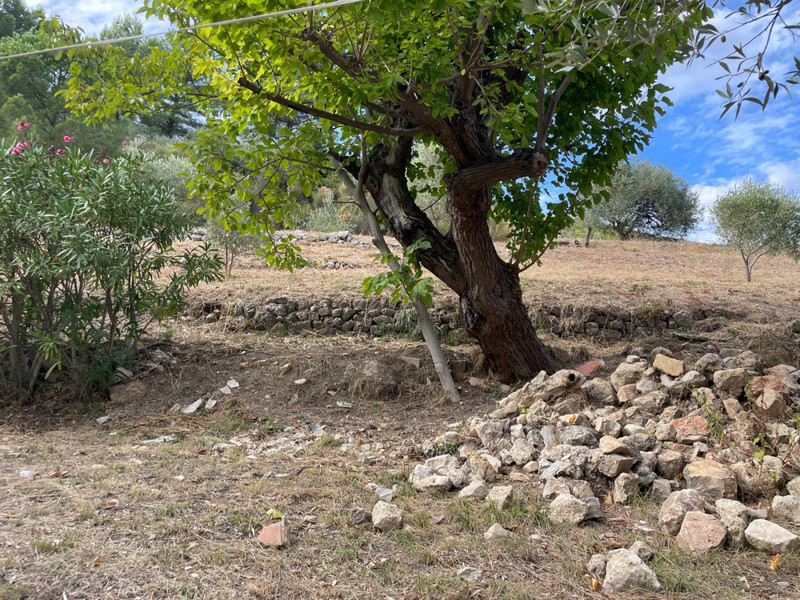 French property for sale in Seillans, Var - €695,000 - photo 8