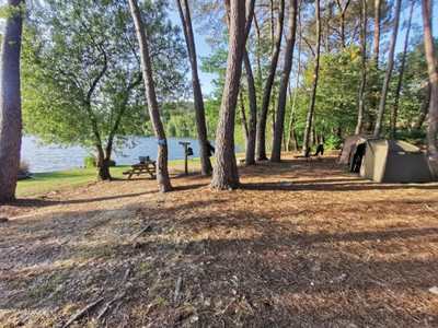 French property for sale in Saint-Martin-sur-Oust, Morbihan - €995,000 - photo 8