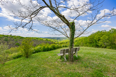 French property for sale in L'Honor-de-Cos, Tarn-et-Garonne - €675,000 - photo 12
