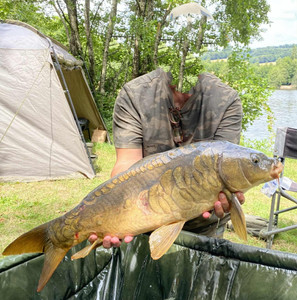 French property for sale in La Croisille-sur-Briance, Haute-Vienne - €124,260 - photo 6