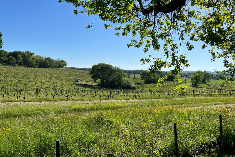 French property for sale in Margueron, Gironde - €99,000 - photo 6