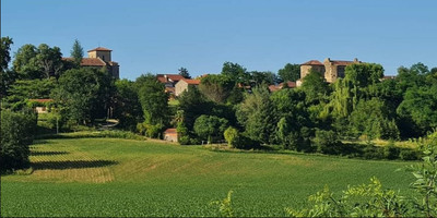 French property for sale in Panjas, Gers - €23,000 - photo 6