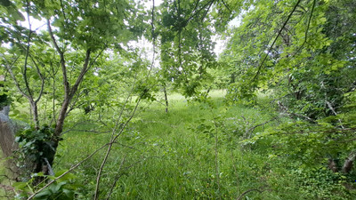 French property for sale in Aixe-sur-Vienne, Haute-Vienne - €46,600 - photo 1