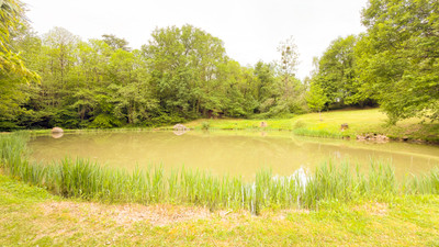 French property for sale in Piégut-Pluviers, Dordogne - €266,430 - photo 8