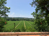 French property for sale in Lasserre, Lot-et-Garonne - €235,000 - thumbnail 9