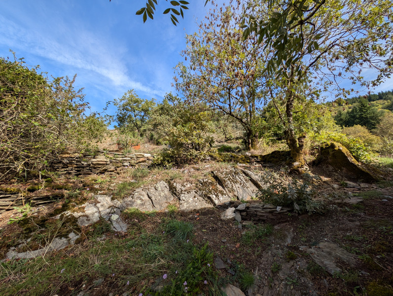 French property for sale in Verreries-de-Moussans, Hérault - €55,000 - photo 4