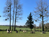 French property for sale in Saint-Mayeux, Côtes-d'Armor - €246,100 - thumbnail 9