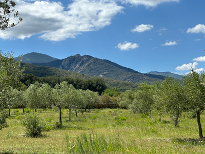 French property for sale in Argelès-sur-Mer, Pyrénées-Orientales - €785,000 - photo 4