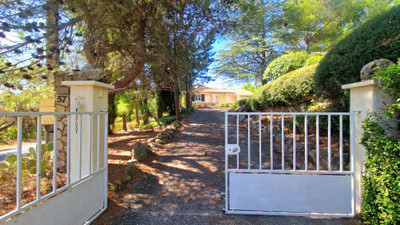 French property for sale in Pouzols-Minervois, Aude - €239,000 - photo 6