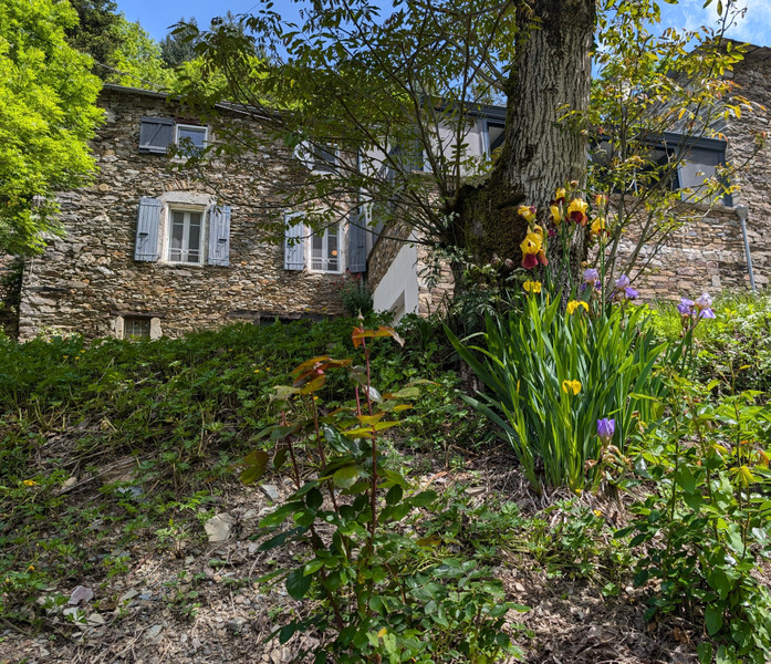 French property for sale in Lacaze, Tarn - €498,000 - photo 2