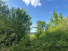 French property for sale in Bertric-Burée, Dordogne - €16,600 - thumbnail 14
