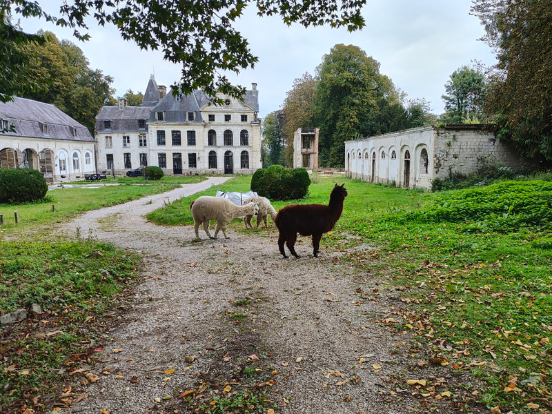 French property for sale in Humières, Pas-de-Calais - €380,000 - photo 9