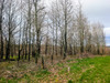 French property for sale in Dournazac, Haute-Vienne - €39,900 - thumbnail 14