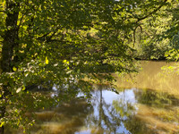 Lacs à vendre à Vigeois, Corrèze - 36.600 € - photo 2