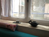 French property for sale in Trèbes, Aude - €89,000 - thumbnail 14