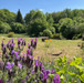 French property for sale in Champsanglard, Creuse - €105,000 - thumbnail 9