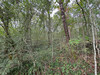 French property for sale in Sanilhac, Dordogne - €26,600 - thumbnail 6