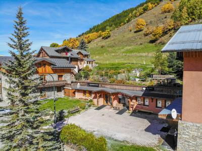 FABULOUS business opportunity - invest in a unique complex of a chalet, a shop and apartments - Three Valleys