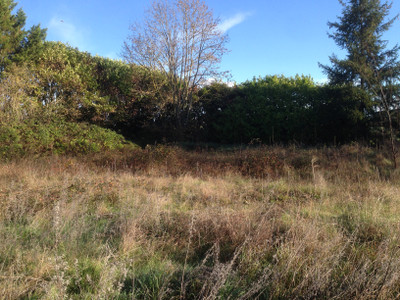 French property for sale in Gout-Rossignol, Dordogne - €16,500 - photo 3