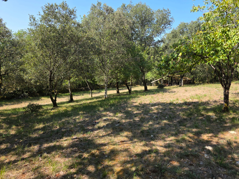 French property for sale in Les Eyzies, Dordogne - €425,000 - photo 8