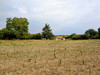 French property for sale in Anché, Vienne - €72,000 - thumbnail 14