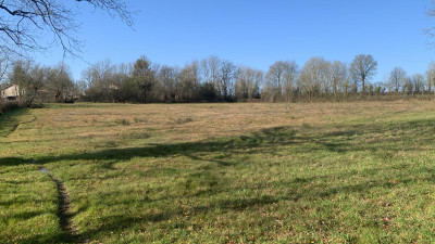 French property for sale in Beugnon-Thireuil, Deux-Sèvres - €235,000 - photo 12