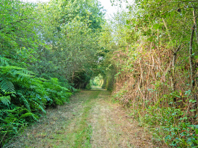 French property for sale in Payzac, Dordogne - €41,600 - photo 3
