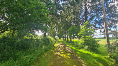 French property for sale in Carelles, Mayenne - €266,000 - photo 9