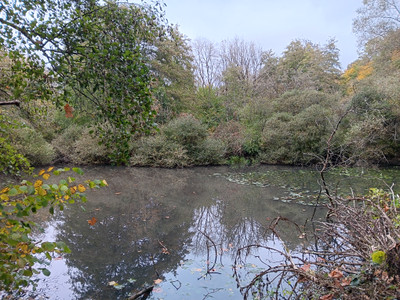 French property for sale in Gençay, Vienne - €430,000 - photo 8