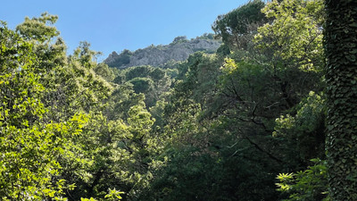 French property for sale in La Garde-Freinet, Var - €149,900 - photo 3