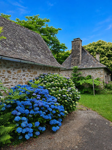 French property for sale in Orgnac-sur-Vézère, Corrèze - €449,000 - photo 4