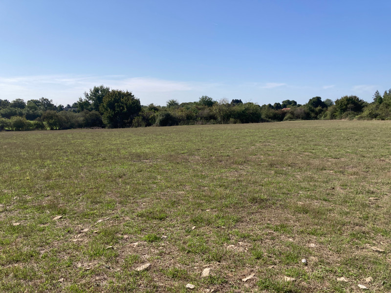 French property for sale in Mauprévoir, Vienne - €50,750 - photo 1