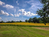 French property for sale in Lauzun, Lot-et-Garonne - €630,000 - thumbnail 9