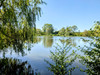 French property for sale in Meilhac, Haute-Vienne - €93,500 - thumbnail 9