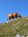 French property for sale in Pralognan-la-Vanoise, Savoie - €435,000 - thumbnail 9