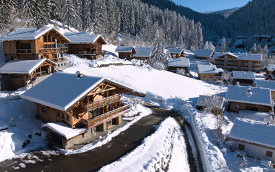 Ski property for sale in Chatel - €2,495,000 - photo 13