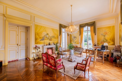 Stunning château set in well-kept, beautiful grounds, 4 floors, each 350m2