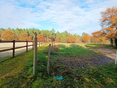 French property for sale in Castelnau-de-Médoc, Gironde - €499,000 - photo 5