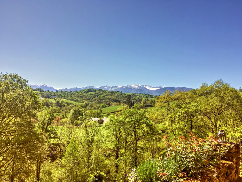 French property for sale in Pau, Pyrénées-Atlantiques - €825,000 - photo 9