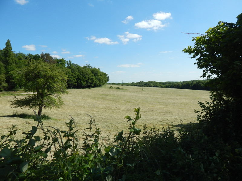 French property for sale in Édon, Charente - €77,000 - photo 3