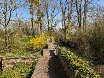 French property for sale in Blèves, Sarthe - €310,000 - photo 8