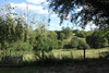 French property for sale in Méasnes, Creuse - €119,051 - thumbnail 9